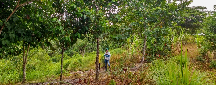 Participatory productive restoration takes root in Colombia 